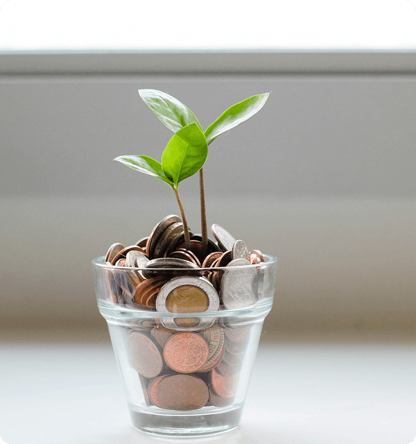 Biljka u čaši punoj kovanica